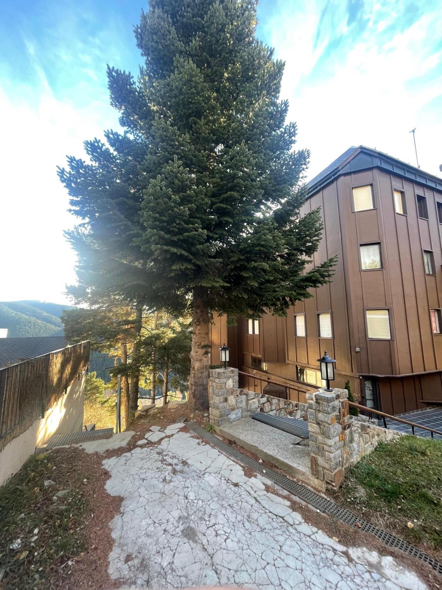 Apartamento Acogedor En La Molina, 2Hab, Wi Fi La Molina  Dış mekan fotoğraf